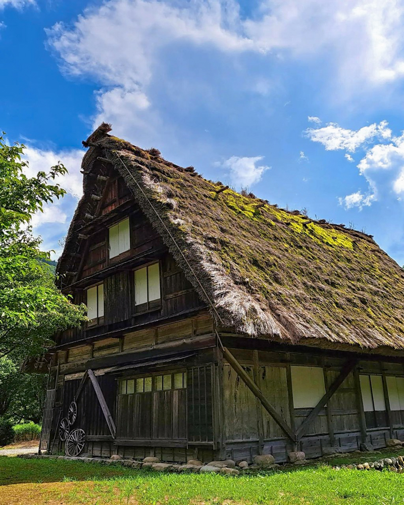 白川郷合掌造り集落、新緑・夏景色、７月夏、岐阜県大野郡の観光・撮影スポットの画像と写真