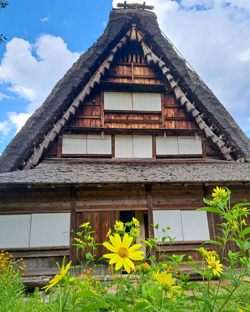 白川郷合掌造り集落、新緑・夏景色、７月夏、岐阜県大野郡の観光・撮影スポットの画像と写真