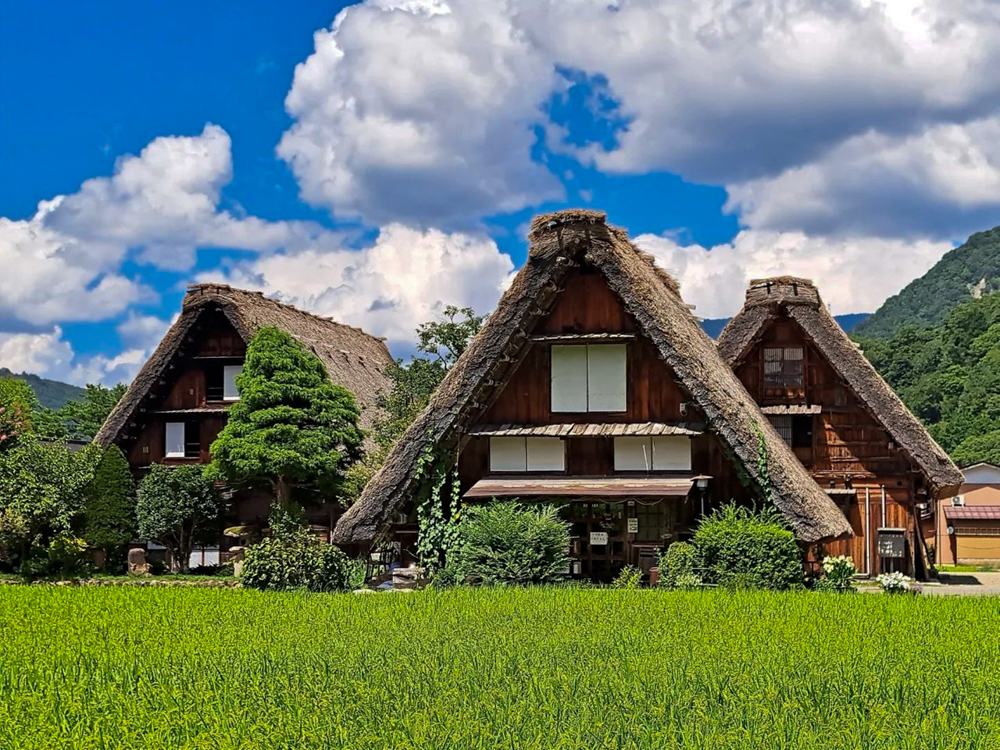 白川郷合掌造り集落、新緑・夏景色、７月夏、岐阜県大野郡の観光・撮影スポットの画像と写真