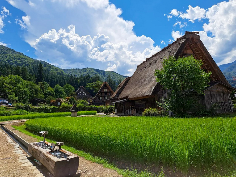 白川郷合掌造り集落、新緑・夏景色、７月夏、岐阜県大野郡の観光・撮影スポットの画像と写真