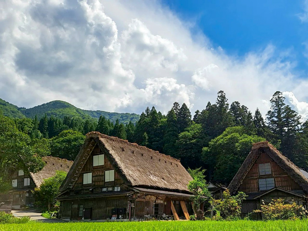 白川郷合掌造り集落、新緑・夏景色、７月夏、岐阜県大野郡の観光・撮影スポットの画像と写真