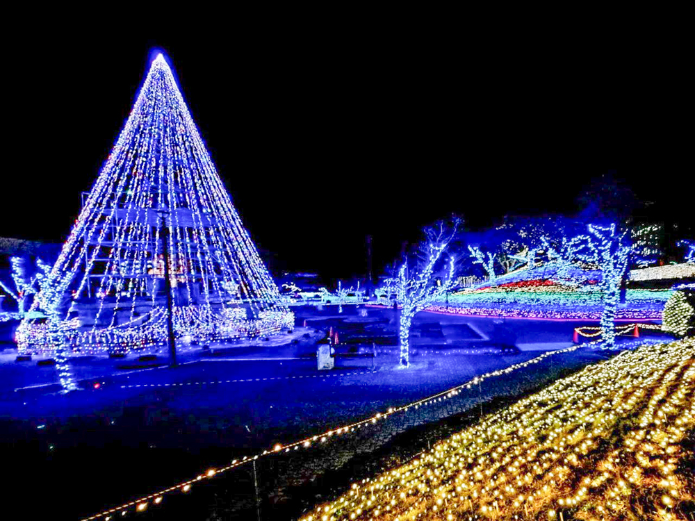 知立ドリームイルミネーション 、12月冬、愛知県知立市の観光・撮影スポットの画像と写真