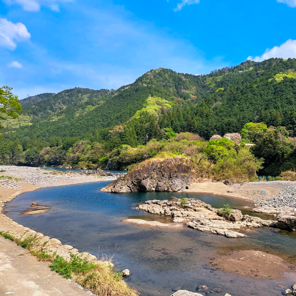 洲原神社、長良川、4月夏、岐阜県美濃市の観光・撮影スポットの名所