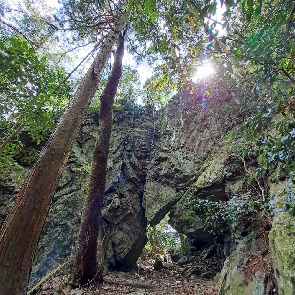 洲原神社、4月夏、岐阜県美濃市の観光・撮影スポットの名所