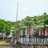 江南市の若宮八幡社 、ヒトツバタゴ、愛知県江南市の観光・撮影スポットの画像と写真