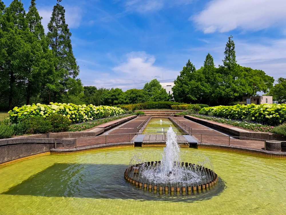 荒子川公園、6月の夏の花、名古屋市港区の観光・撮影スポットの画像と写真