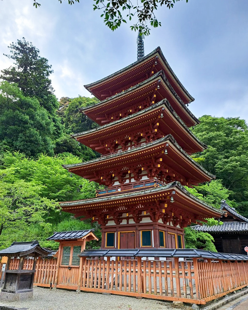 長谷寺、奈良県桜井市の観光・撮影スポットの名所