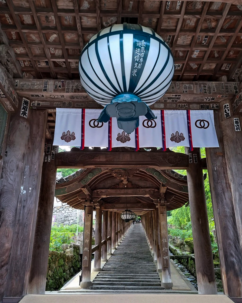 長谷寺、奈良県桜井市の観光・撮影スポットの名所