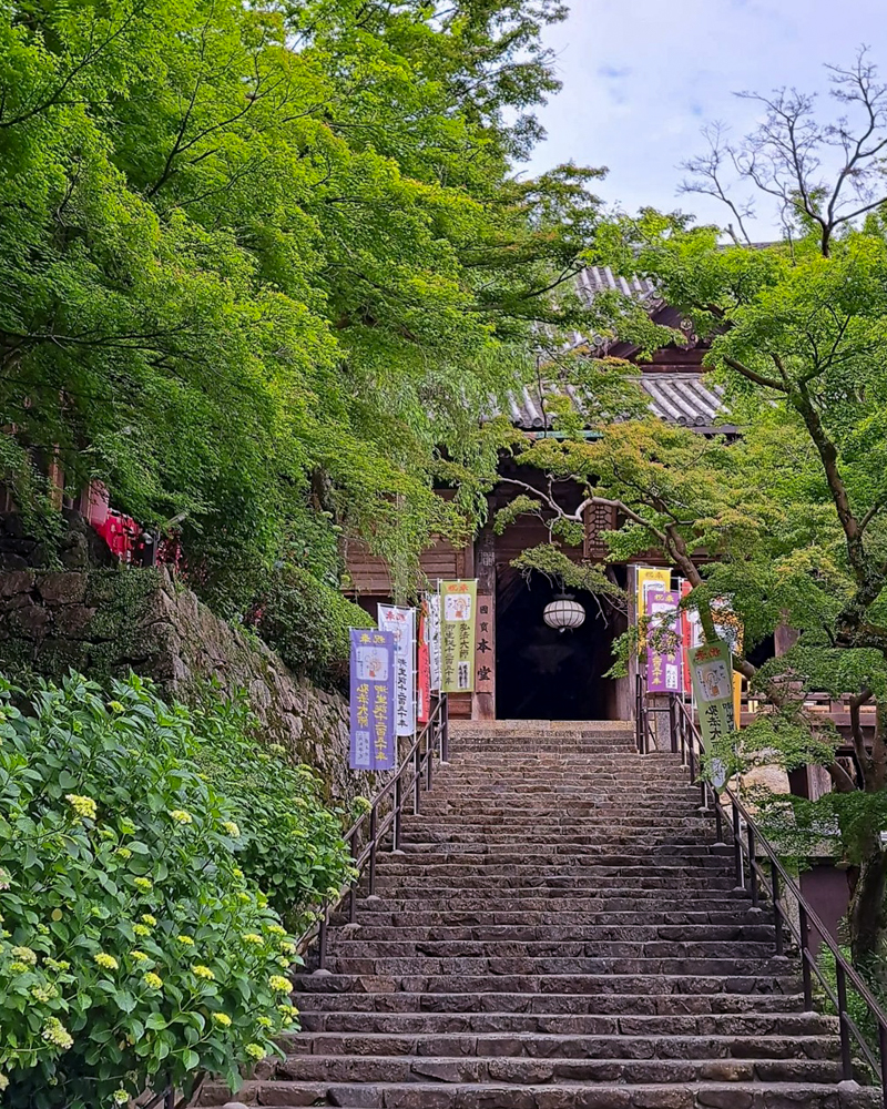 長谷寺、奈良県桜井市の観光・撮影スポットの名所