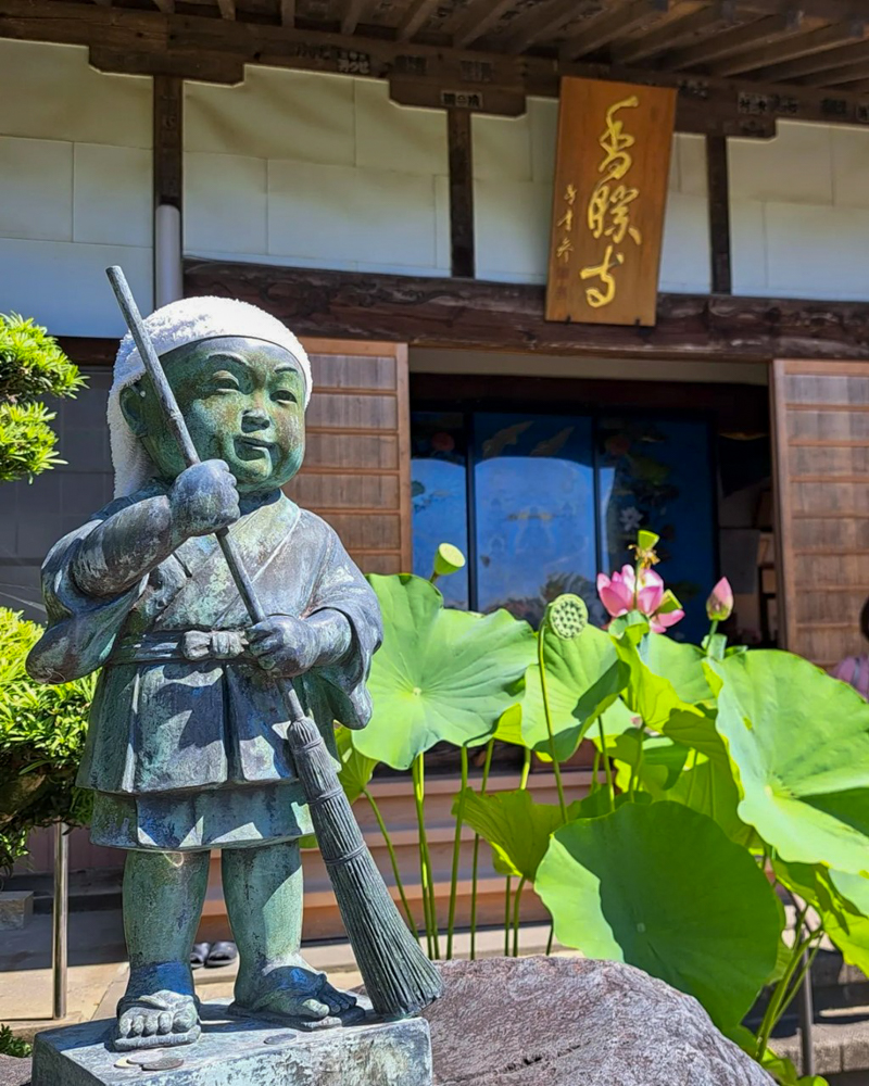 香勝寺ききょう寺 、ハス、7月の夏の花、静岡県周智郡の観光・撮影スポットの画像と写真