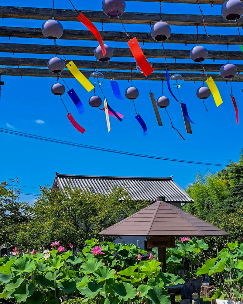 香勝寺ききょう寺 、カラフルな旗、静岡県周智郡の観光・撮影スポットの画像と写真