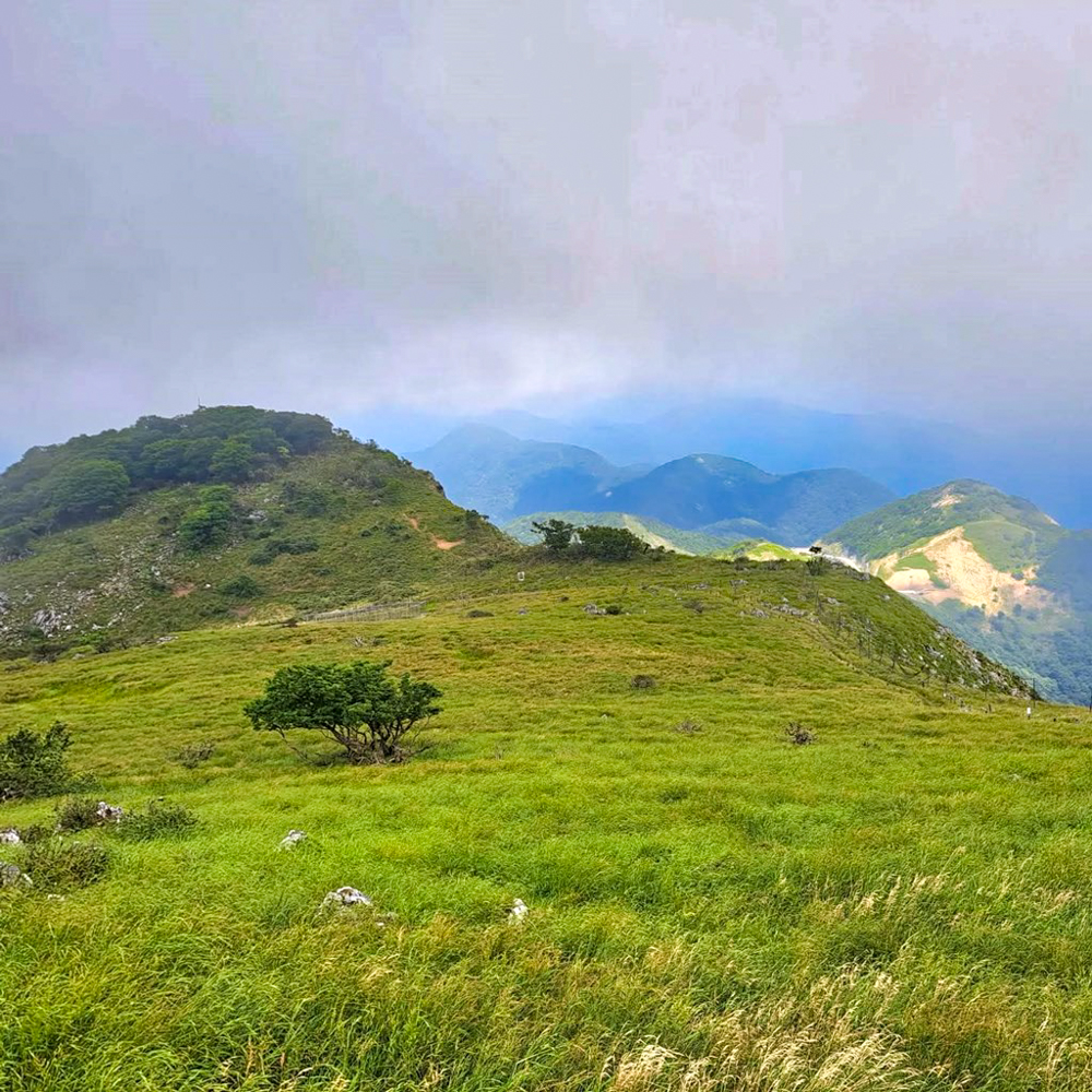 伊吹山山頂、展望台、絶景、７月夏、滋賀県米原市の観光・撮影スポットの名所