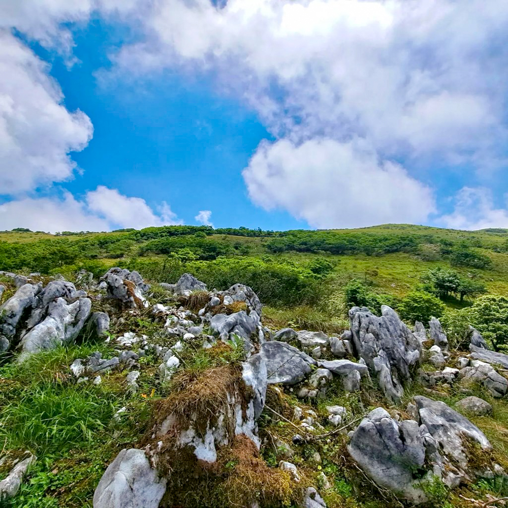 伊吹山山頂、展望台、絶景、７月夏、滋賀県米原市の観光・撮影スポットの名所