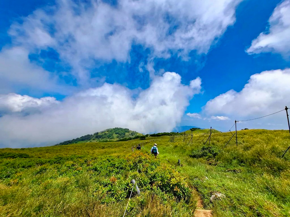 伊吹山山頂、展望台、絶景、７月夏、滋賀県米原市の観光・撮影スポットの名所