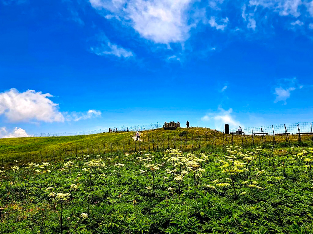 伊吹山山頂、展望台、絶景、７月夏、滋賀県米原市の観光・撮影スポットの名所