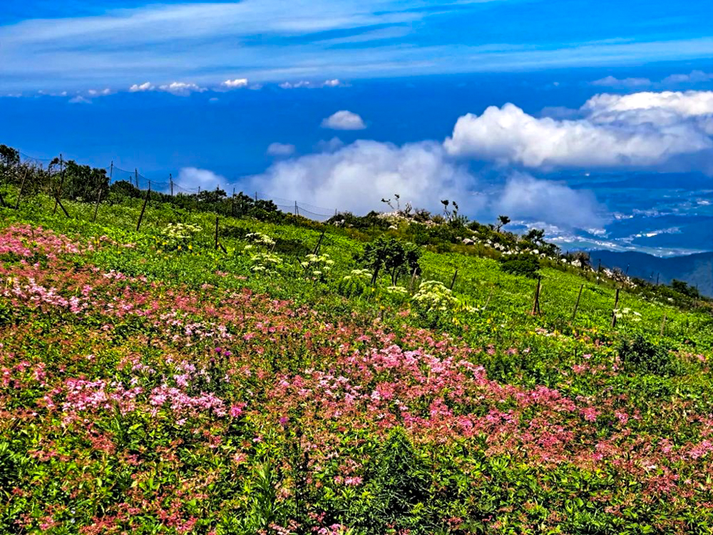 伊吹山山頂、展望台、絶景、７月夏、滋賀県米原市の観光・撮影スポットの名所