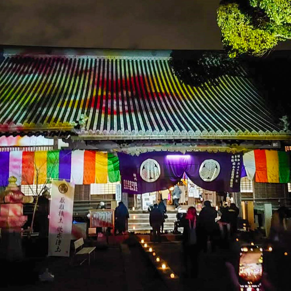 大樹寺プロジェクションマッピング2023 、1月冬、愛知県岡崎市の観光・撮影スポットの画像と写真