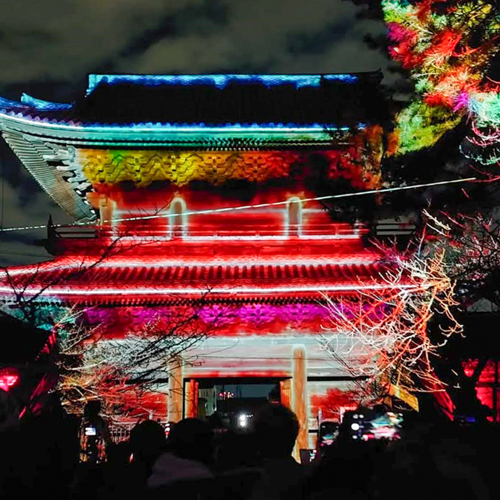 大樹寺プロジェクションマッピング2023 、1月冬、愛知県岡崎市の観光・撮影スポットの画像と写真