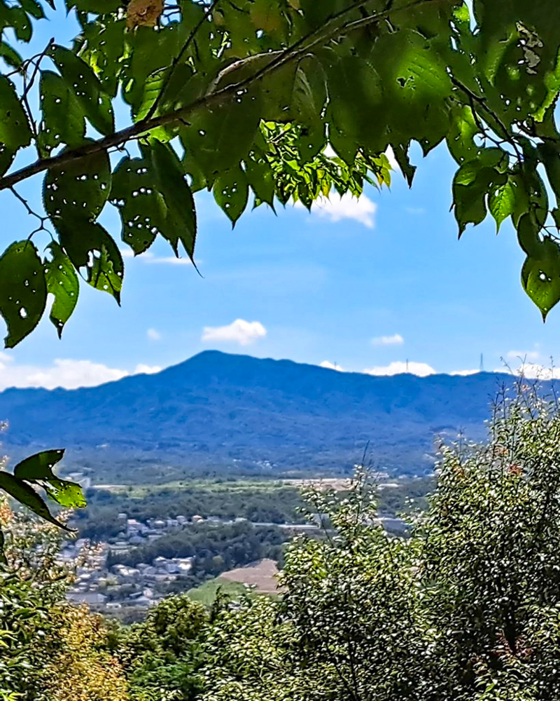 尾張戸神社、新緑・夏景色、8月夏、名古屋市守山区の観光・撮影スポットの名所