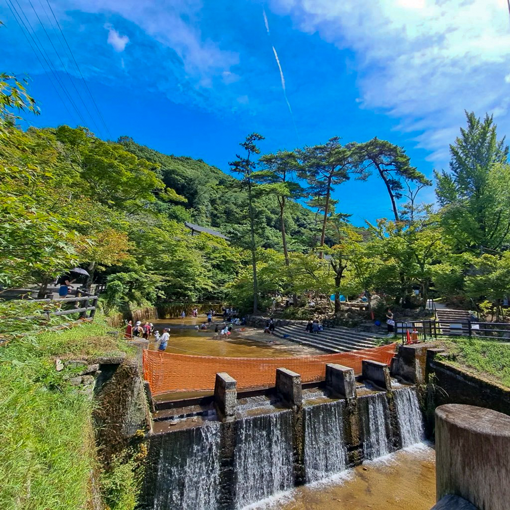 岩屋堂公園、夏、8月、愛知県瀬戸市の観光・撮影スポットの画像と写真