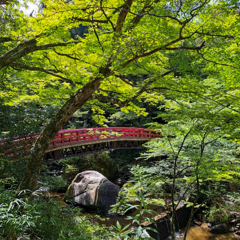 岩屋堂公園、夏、8月、愛知県瀬戸市の観光・撮影スポットの画像と写真