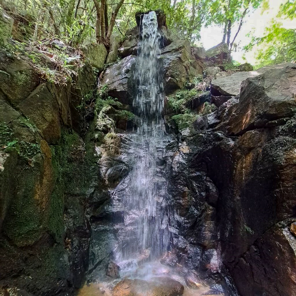 岩屋堂公園、夏、8月、愛知県瀬戸市の観光・撮影スポットの画像と写真