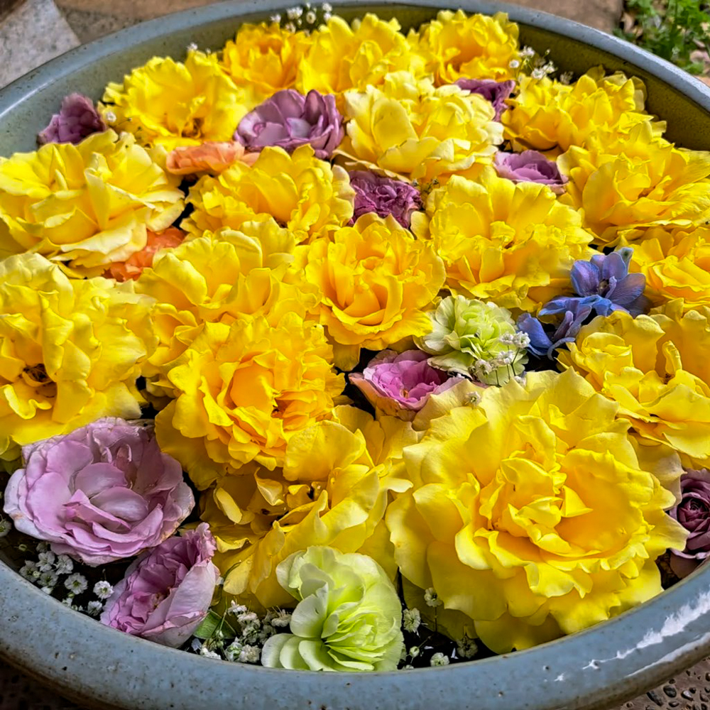 こうのす花まつり、「花久の里」、花手水、5月夏の花、埼玉県鴻巣市の観光・撮影スポットの名所