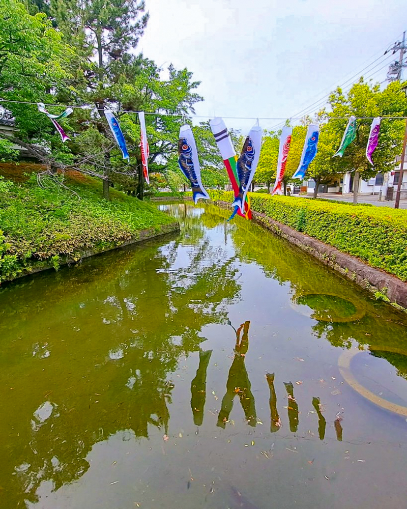 行田「花手水week」 (忍城) 、鯉のぼり、5月夏の花、埼玉県行田市の観光・撮影スポットの名所