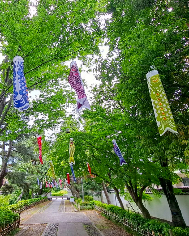 行田「花手水week」 (忍城) 、鯉のぼり、5月夏の花、埼玉県行田市の観光・撮影スポットの名所