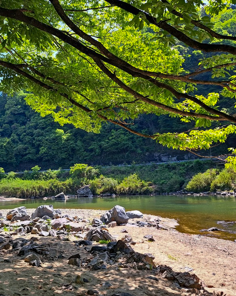 愛岐トンネル、新緑・夏景色、5月夏、愛知県春日井市の観光・撮影スポットの名所