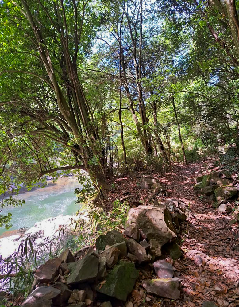 愛岐トンネル、新緑・夏景色、5月夏、愛知県春日井市の観光・撮影スポットの名所