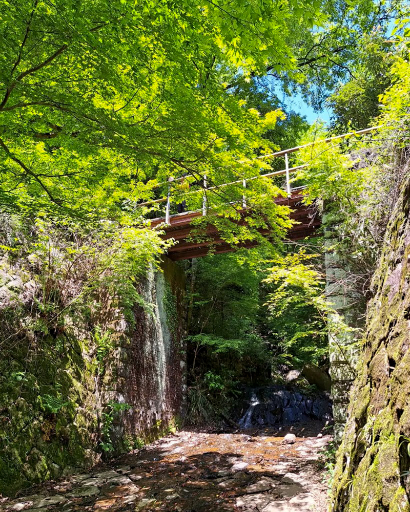 愛岐トンネル、新緑・夏景色、5月夏、愛知県春日井市の観光・撮影スポットの名所