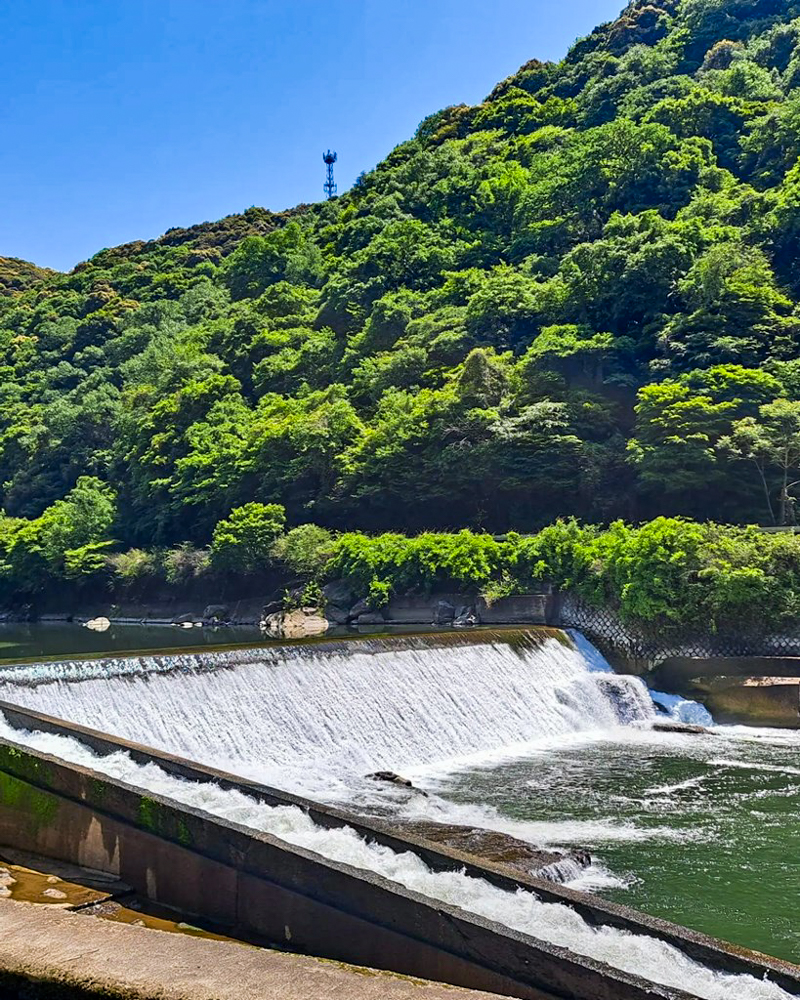 愛岐トンネル、新緑・夏景色、5月夏、愛知県春日井市の観光・撮影スポットの名所