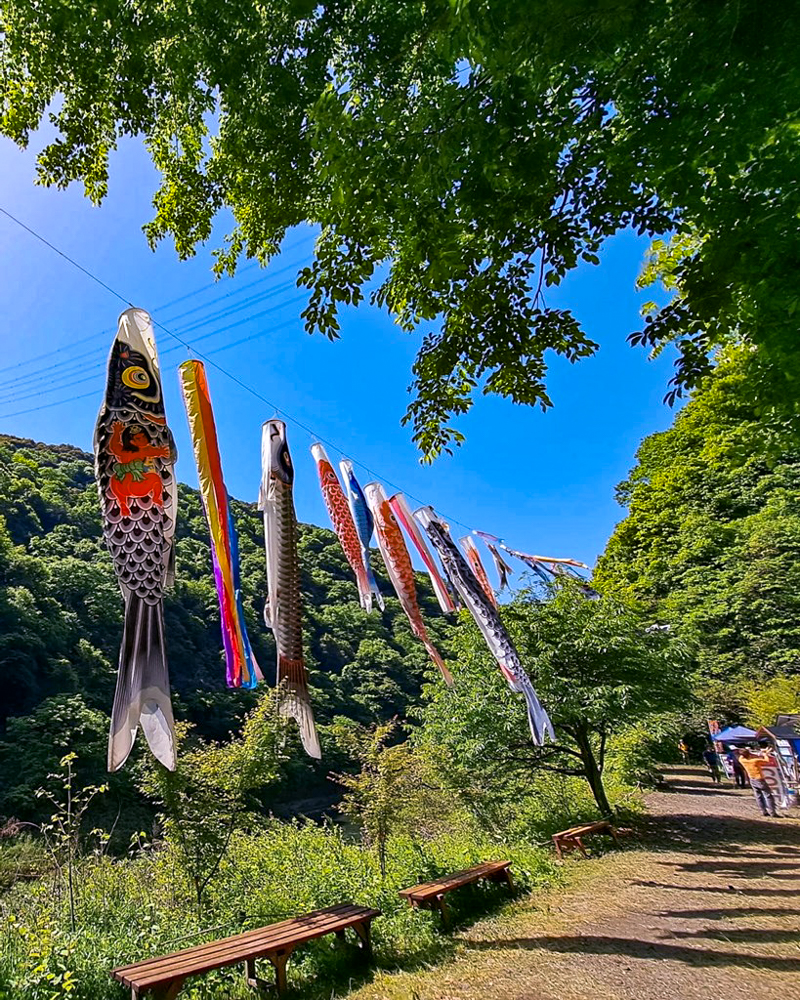 愛岐トンネル、新緑・夏景色、5月夏、愛知県春日井市の観光・撮影スポットの名所