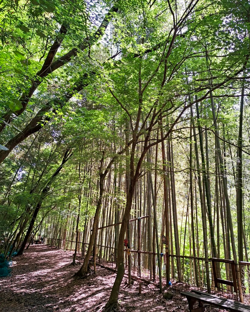 愛岐トンネル、新緑・夏景色、5月夏、愛知県春日井市の観光・撮影スポットの名所