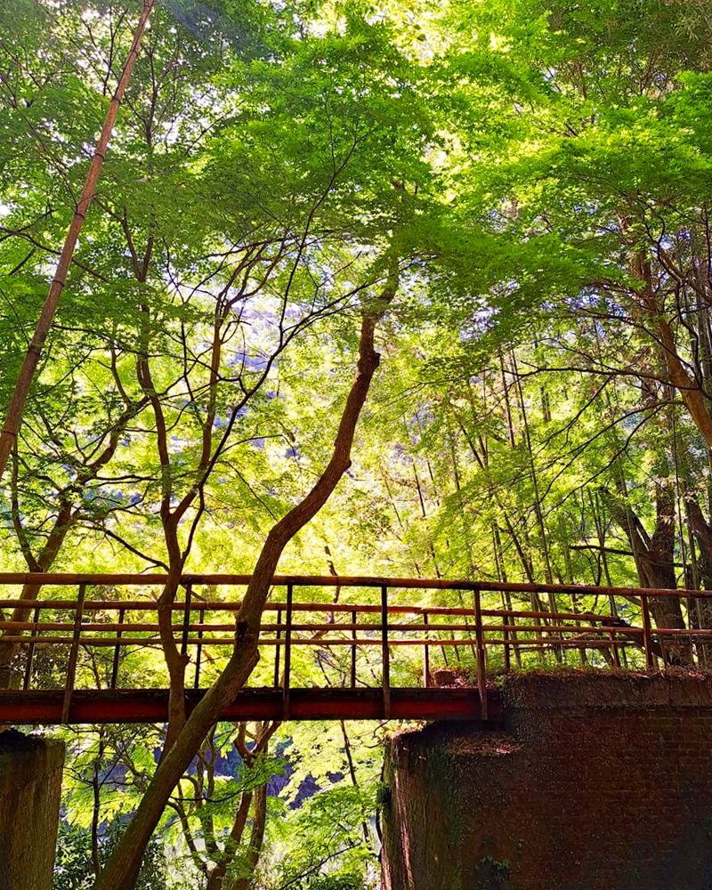 愛岐トンネル、新緑・夏景色、5月夏、愛知県春日井市の観光・撮影スポットの名所