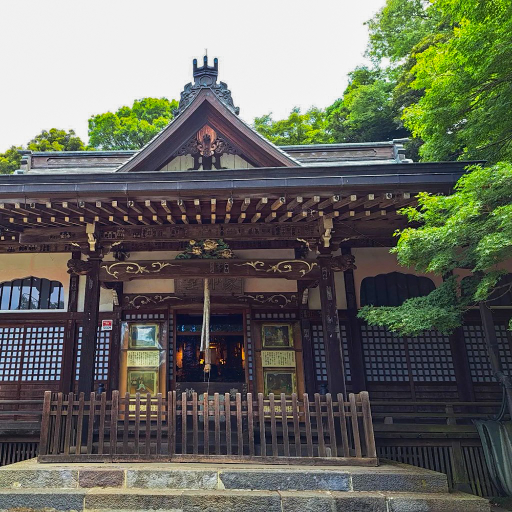 本土寺、6月夏の花、千葉県松戸市の観光・撮影スポットの画像と写真