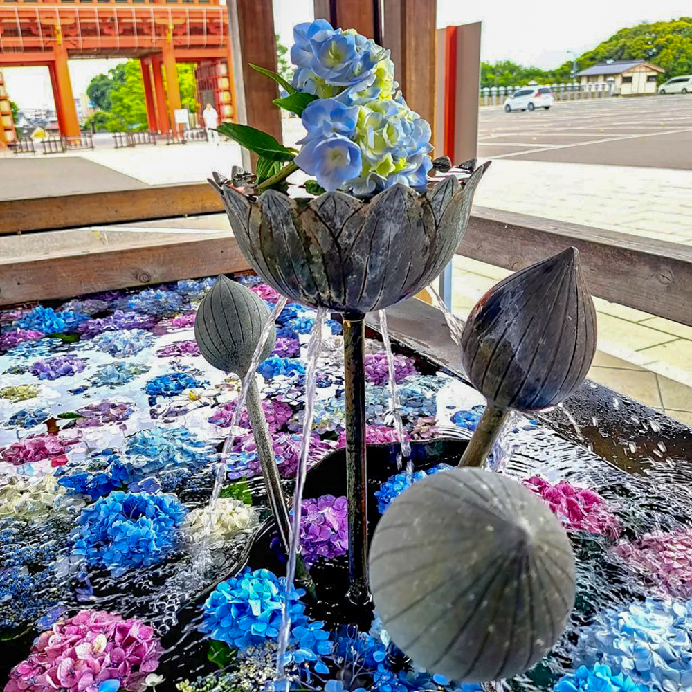 犬山成田山、花手水舎、あじさい、6月夏の花、愛知県犬山市の観光・撮影スポットの名所