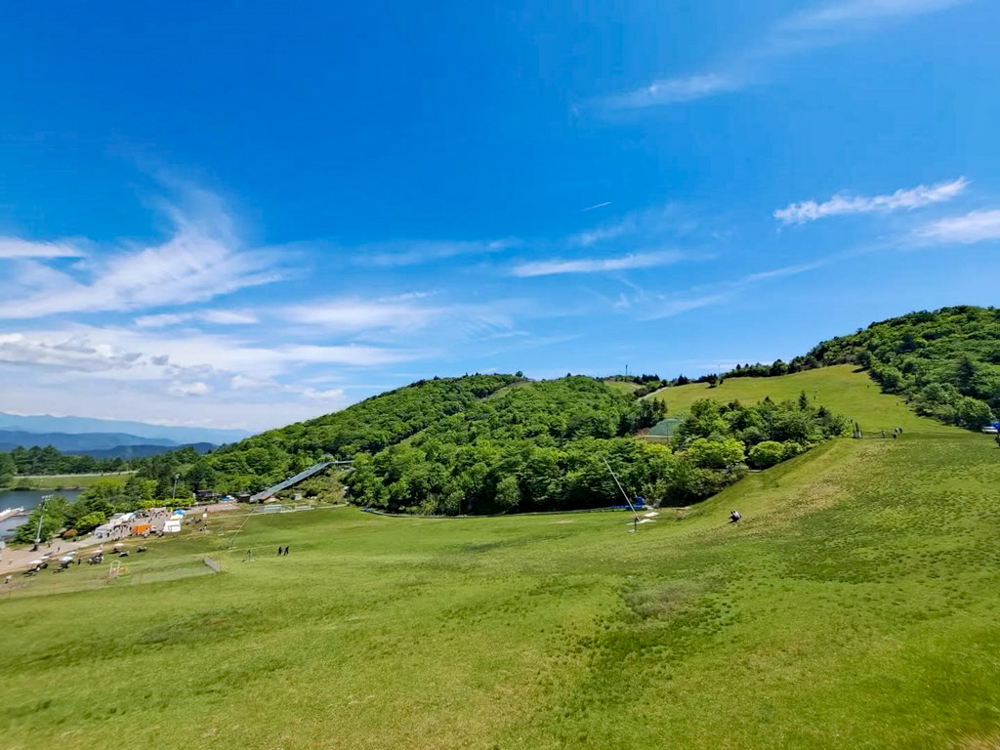 茶臼山高原、6月夏の花、愛知県北設楽郡の観光・撮影スポットの画像と写真