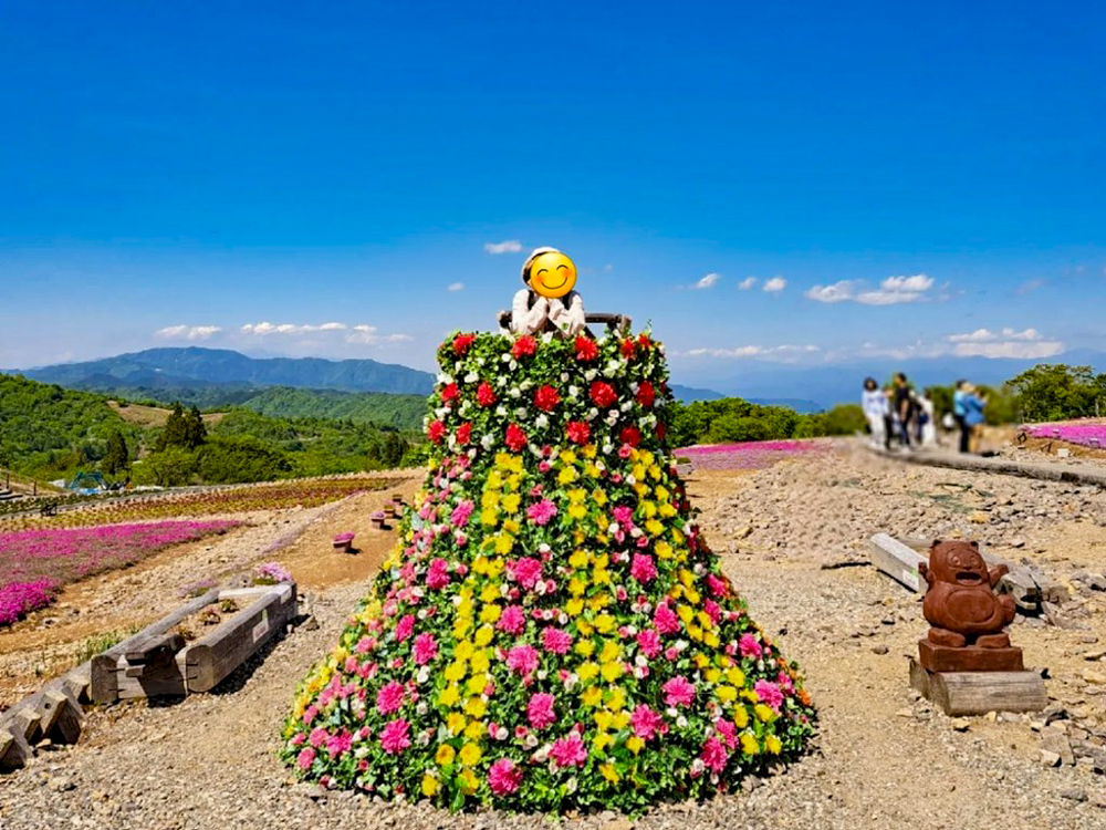 茶臼山高原、6月夏の花、愛知県北設楽郡の観光・撮影スポットの画像と写真