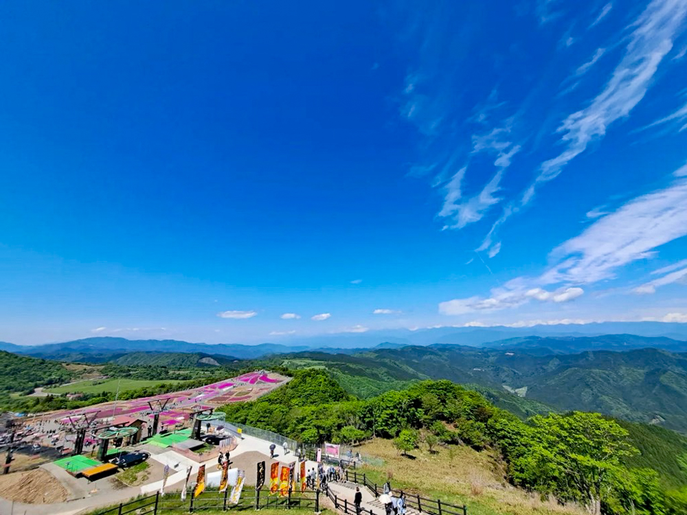 茶臼山高原、6月夏の花、愛知県北設楽郡の観光・撮影スポットの画像と写真