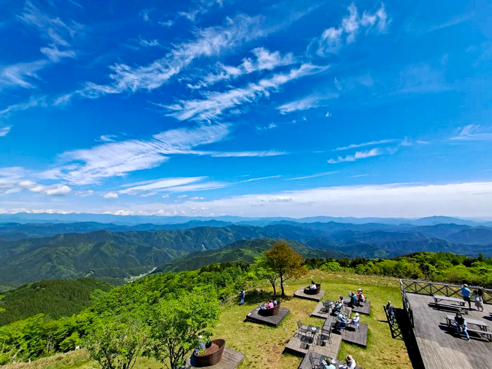 茶臼山高原、6月夏の花、愛知県北設楽郡の観光・撮影スポットの画像と写真