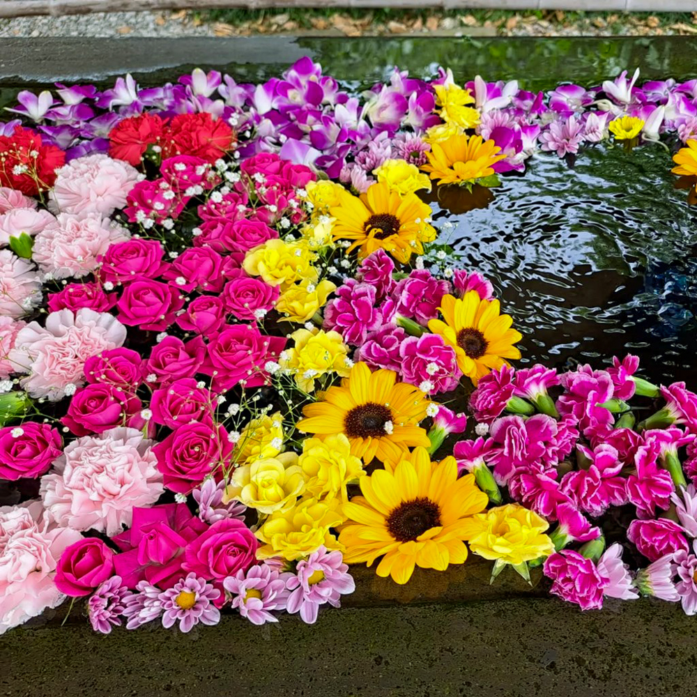 行田「花手水week」 (前玉神社) 、5月夏の花、埼玉県鴻巣市の観光・撮影スポットの名所