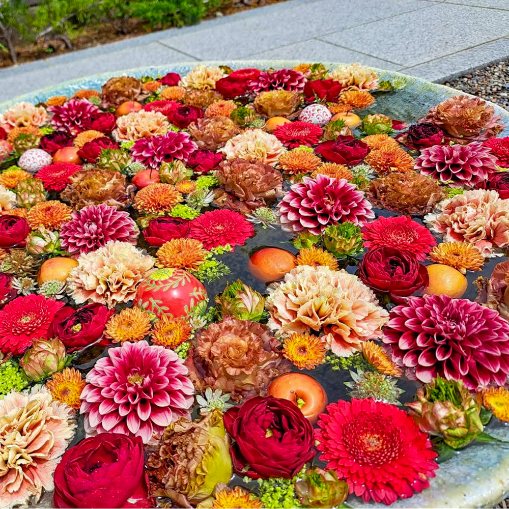 行田「花手水week」 (行田八幡神社 、5月夏の花、埼玉県行田市の観光・撮影スポットの名所