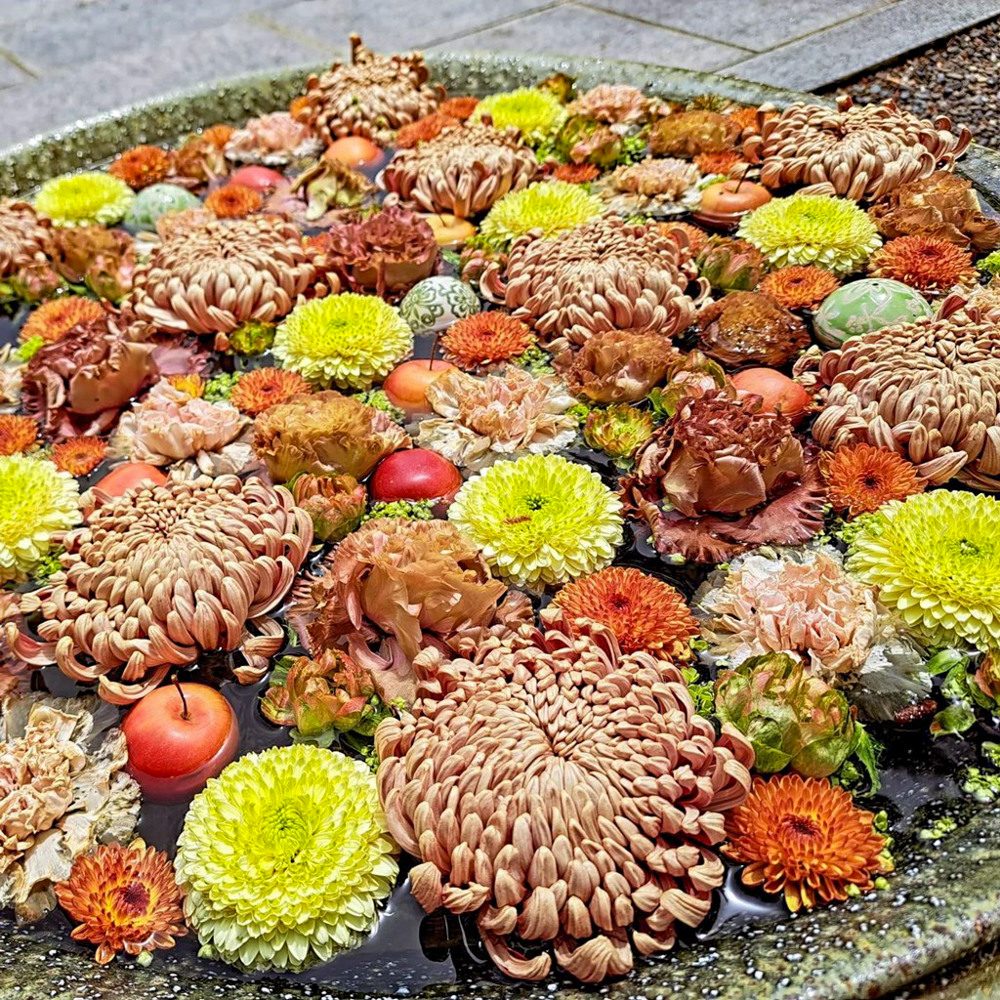 行田「花手水week」 (行田八幡神社 、5月夏の花、埼玉県行田市の観光・撮影スポットの名所