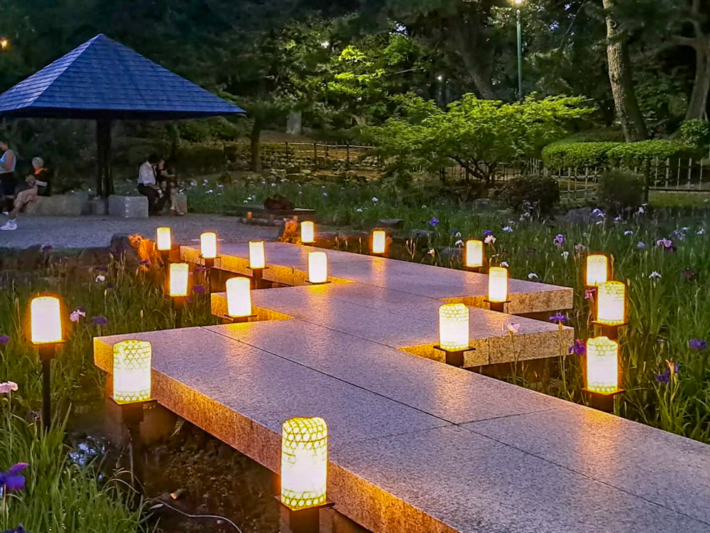 鶴舞公園、花しょうぶ、ライトアップ、6月夏の花、名古屋市昭和区の観光・撮影スポットの画像と写真