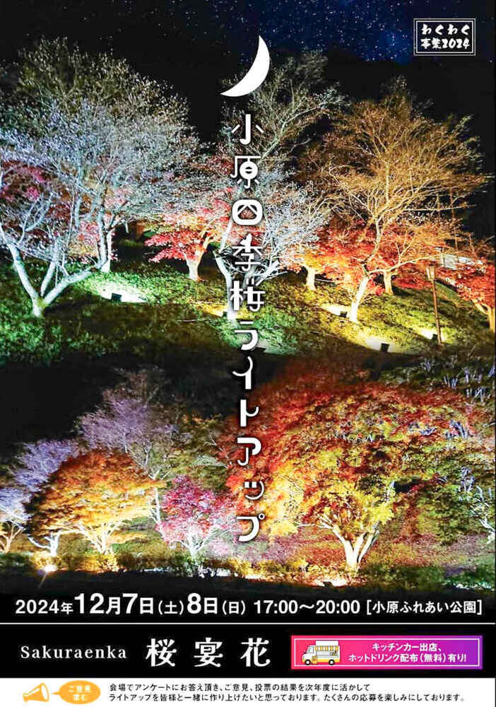 小原ふれあい公園、四季桜、紅葉ライトアップ、11月秋、愛知県豊田市の観光・撮影スポットの画像と写真