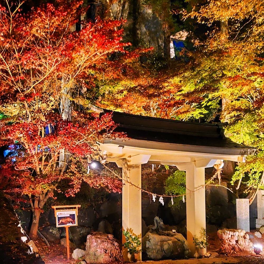 木瀬八柱神社、ふじおか紅葉まつり、ライトアップ、11月秋、愛知県豊田市の観光・撮影スポットの名所