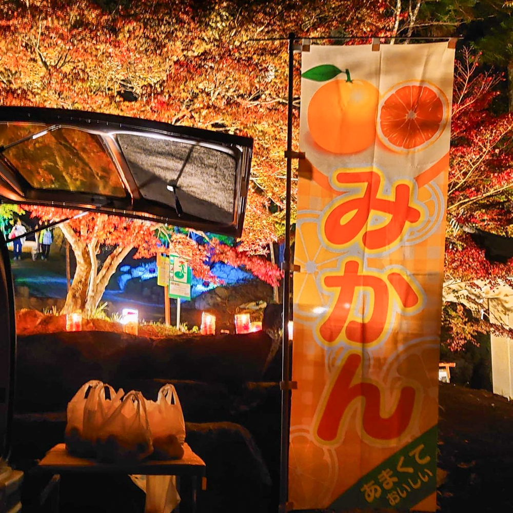 木瀬八柱神社、ふじおか紅葉まつり、ライトアップ、11月秋、愛知県豊田市の観光・撮影スポットの名所