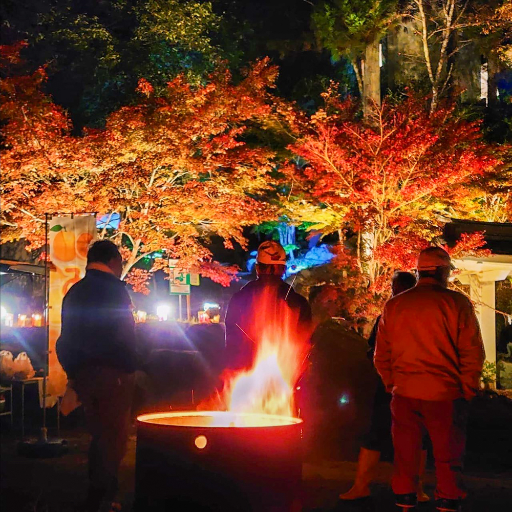 木瀬八柱神社、ふじおか紅葉まつり、ライトアップ、11月秋、愛知県豊田市の観光・撮影スポットの名所